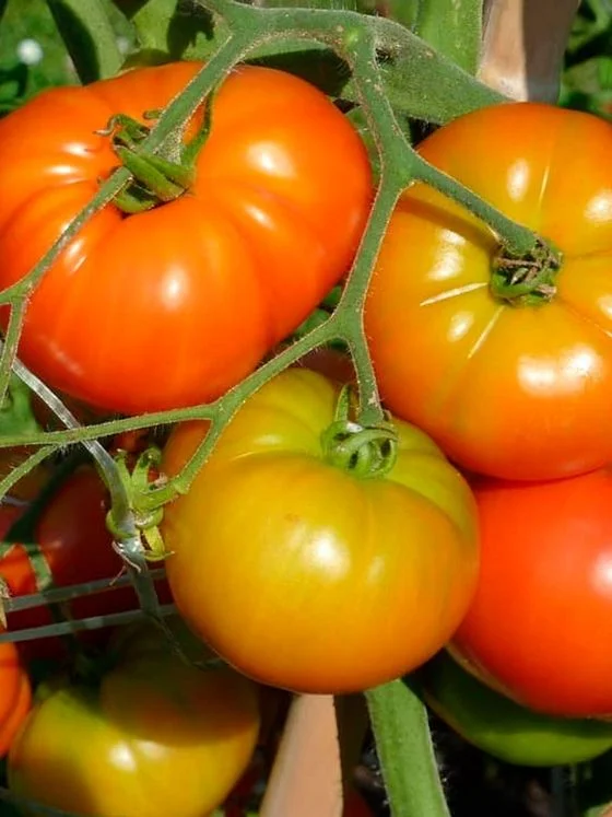 Нужный размер