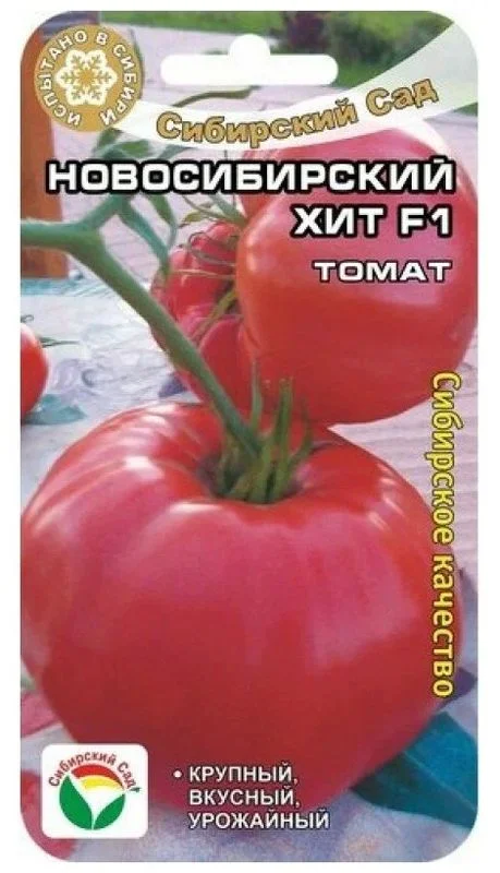 Новосибирский хит