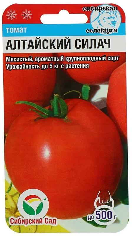 Алтайский силач