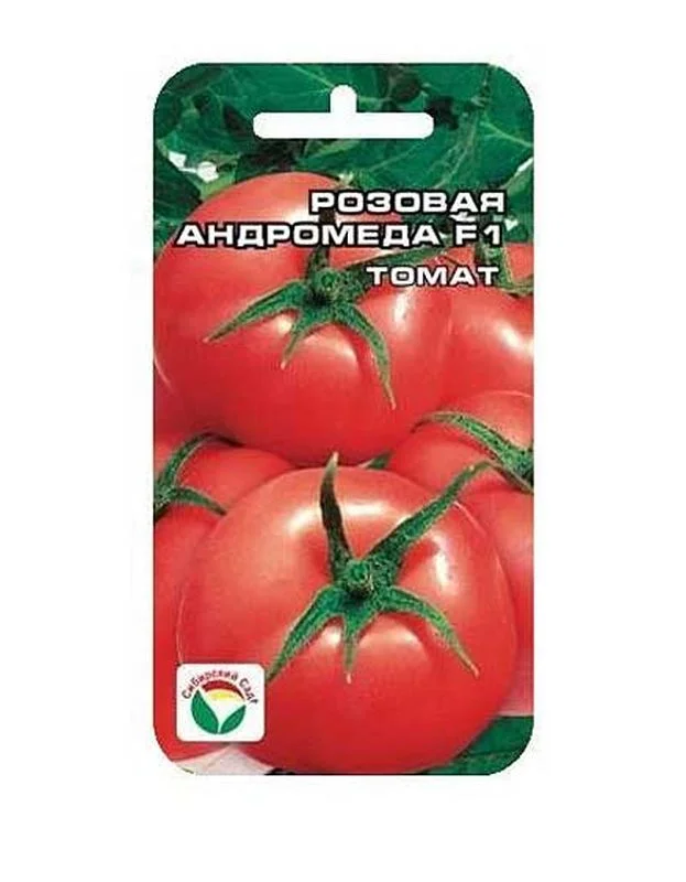 Андромеда розовая