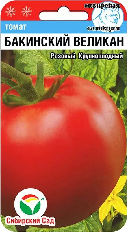 Бакинский великан