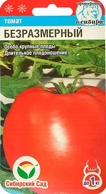 Безразмерный