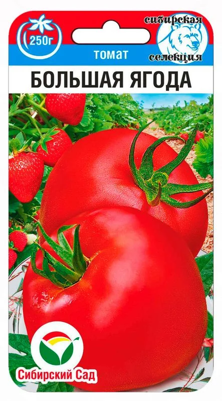 Большая ягода