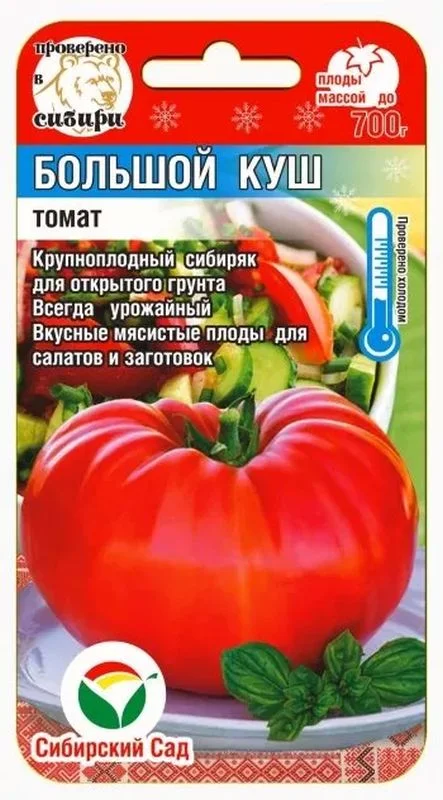 Большой куш