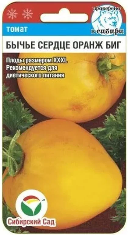 Бычье сердце Оранж Биг