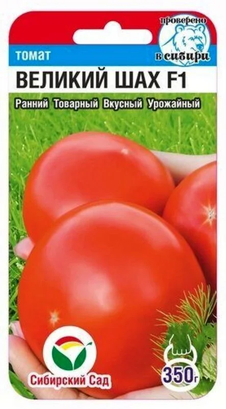 Великий Шах