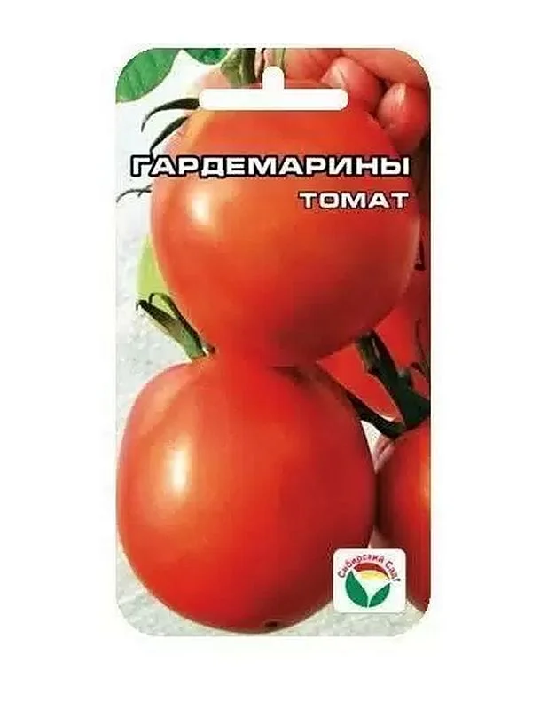 Гардемарины
