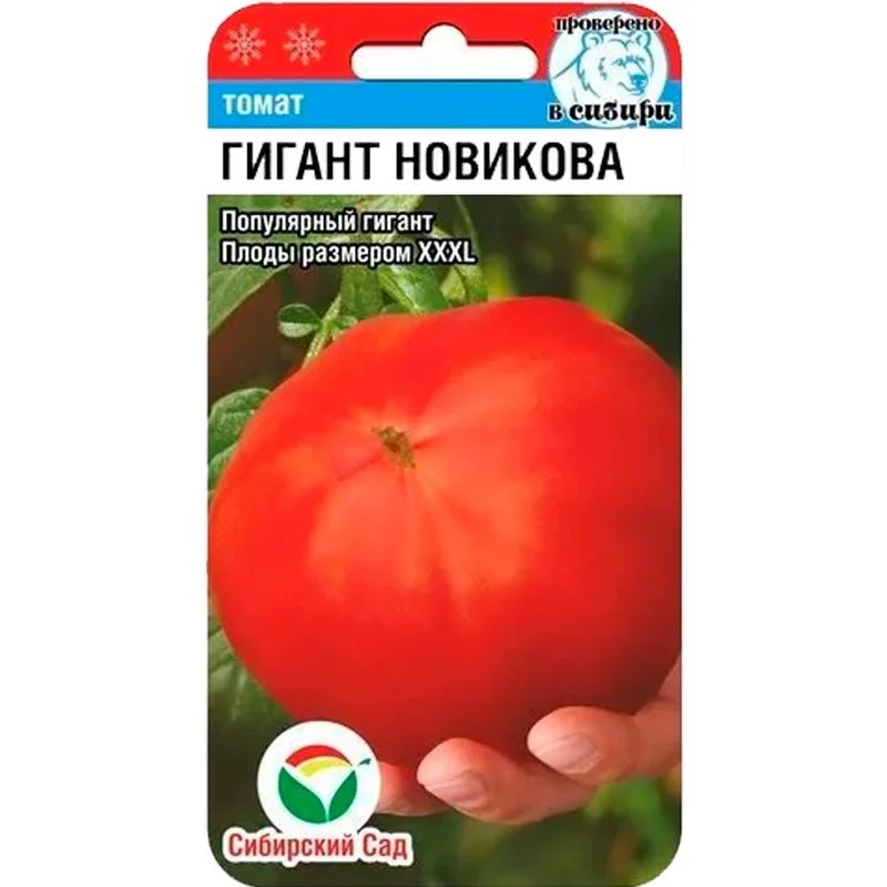 Гигант Новикова