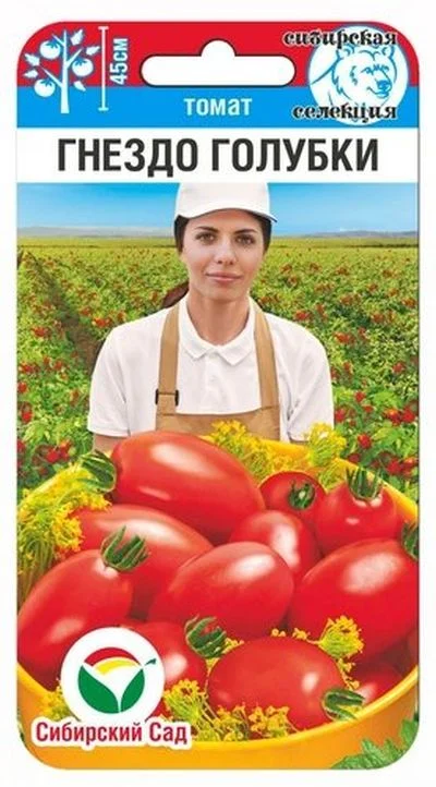 Гнездо голубки