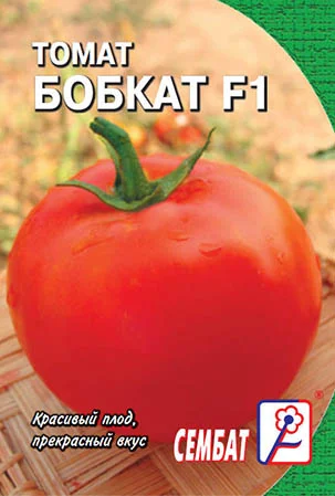 Миниатюра изображения сорта Бобкат 