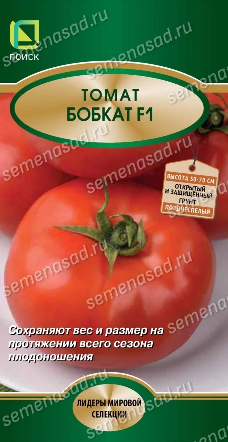 Миниатюра изображения сорта Бобкат 