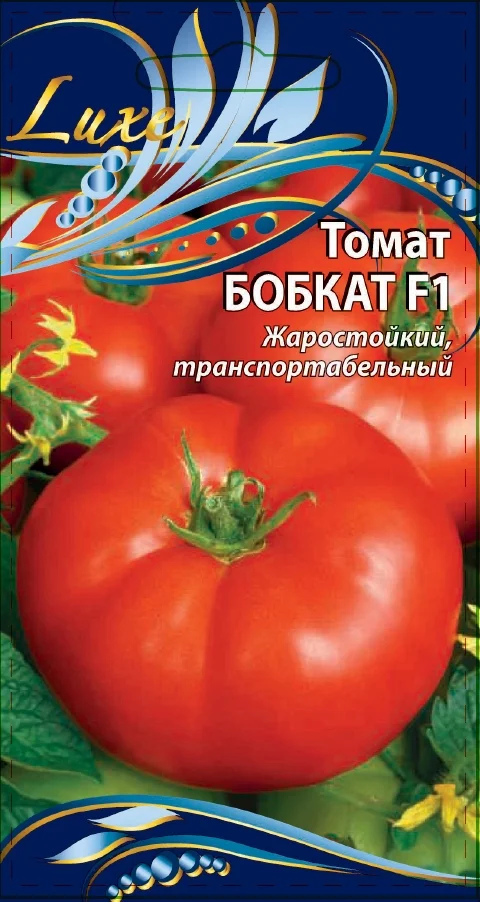 Миниатюра изображения сорта Бобкат 