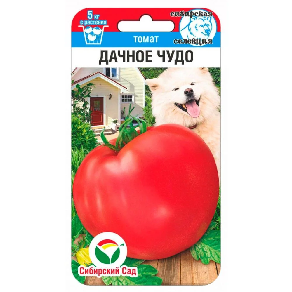 Дачное чудо