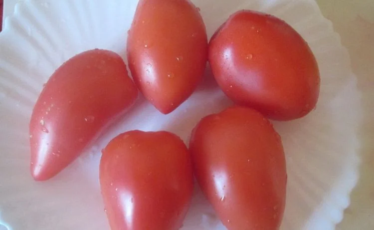 Долька Дальневосточная