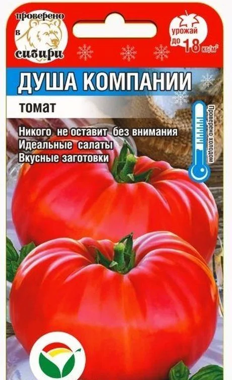 Душа компании