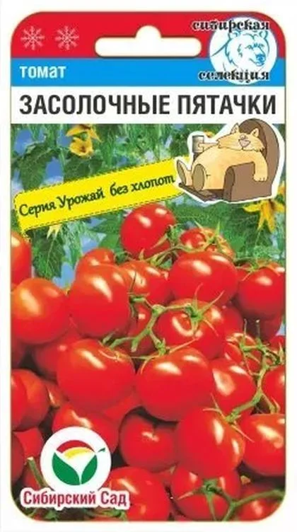 Засолочные пятачки