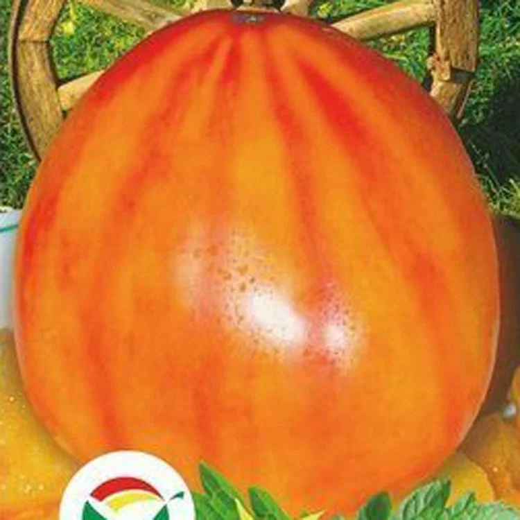 Золотое колесо