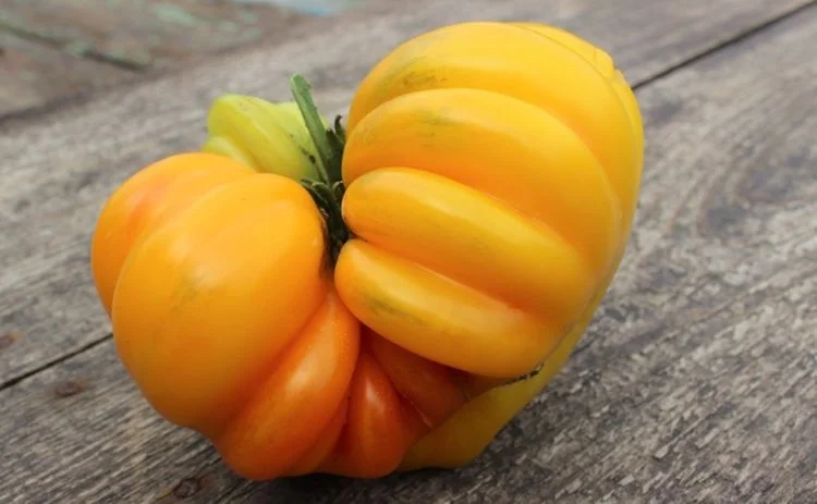 Золотое лукошко