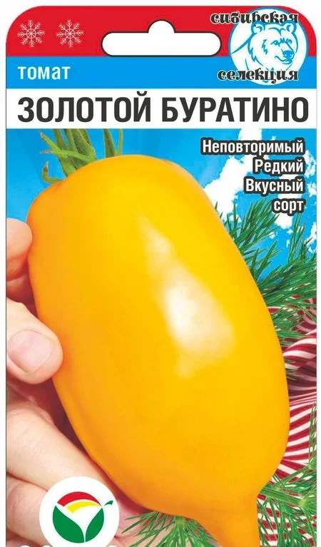 Золотой Буратино