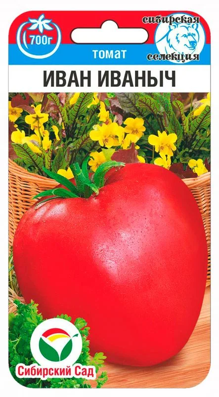 Иван Иваныч