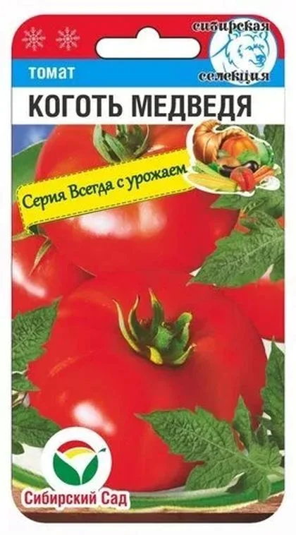 Коготь медведя