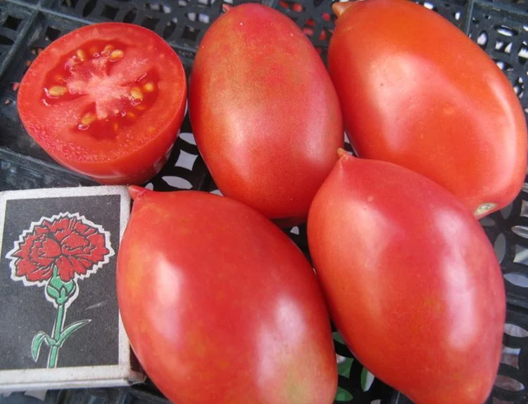 Колокольчик