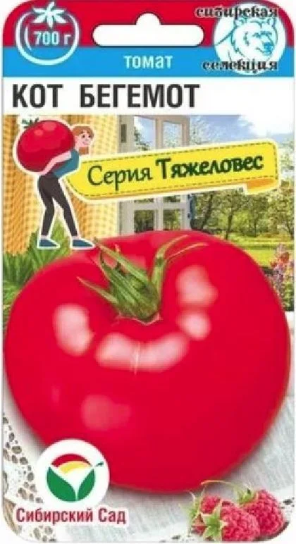 Кот Бегемот