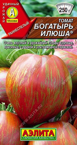 Богатырь Илюша