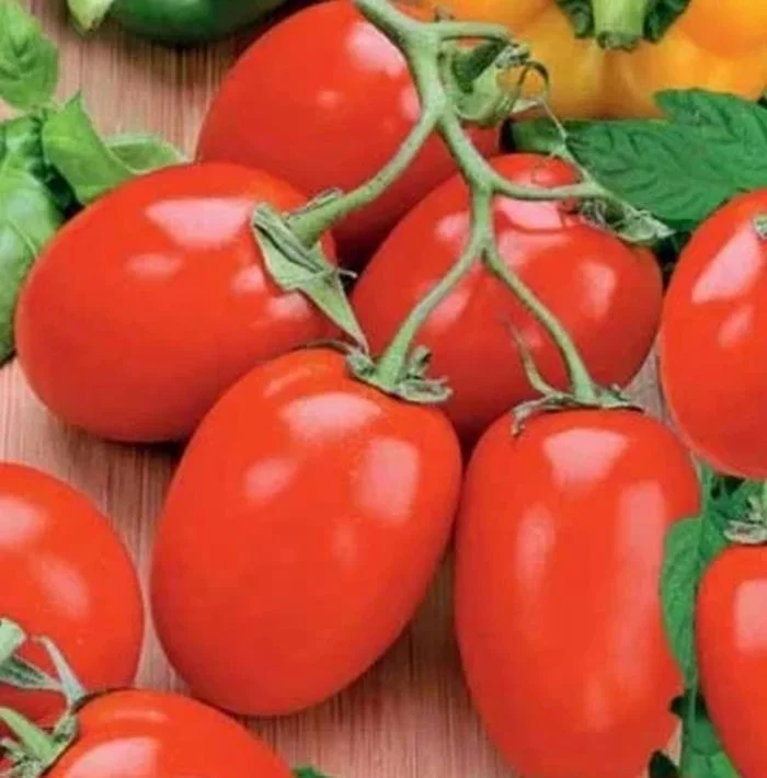 Курочка-несушка