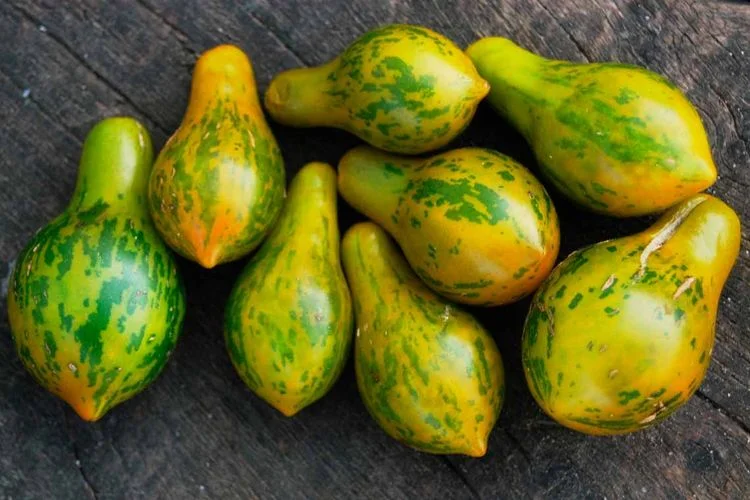 Майкл Поллан