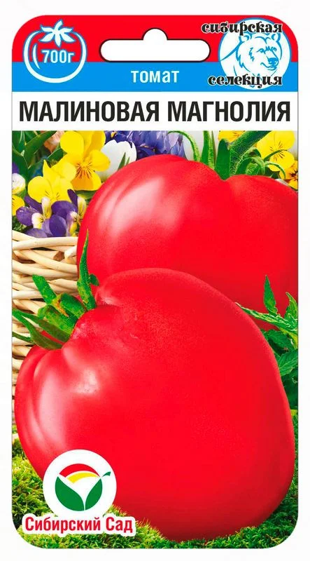 Малиновая магнолия