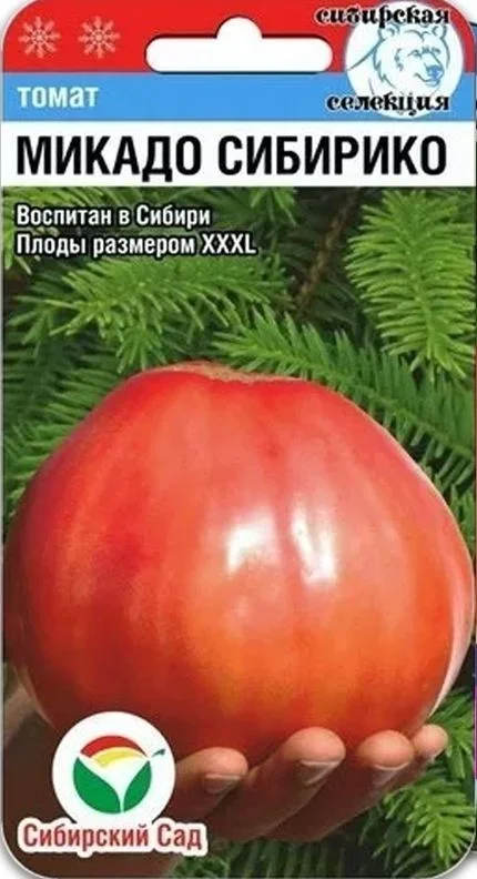 Микадо Сибирико