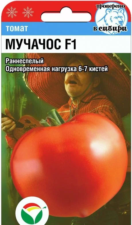 Мучачос