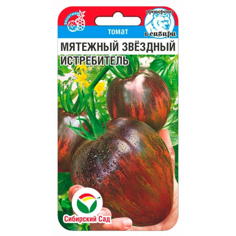 Мятежный Звездный Истребитель