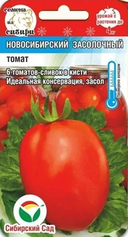 Новосибирский засолочный