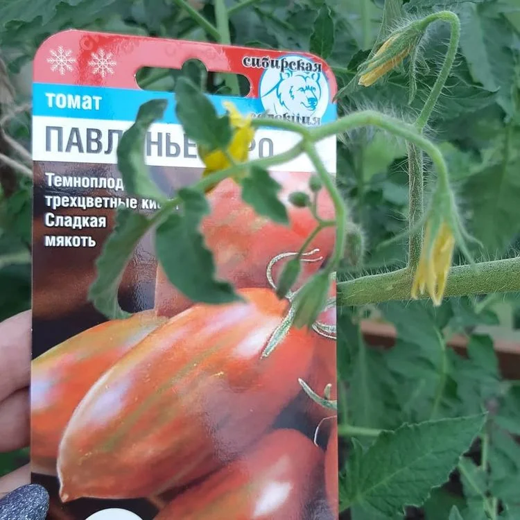 Павлинье перо