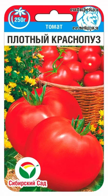 Плотный краснопуз