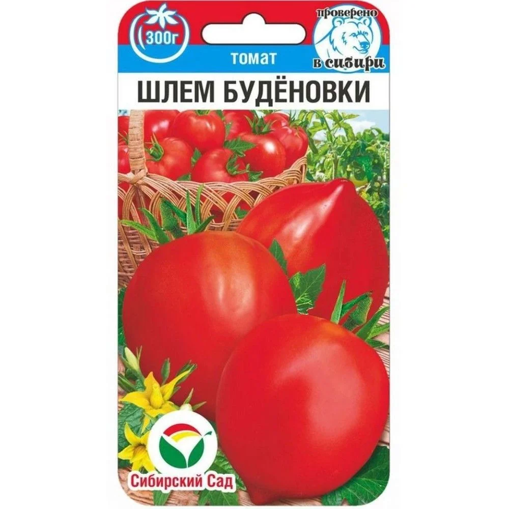 Шлем Буденовки