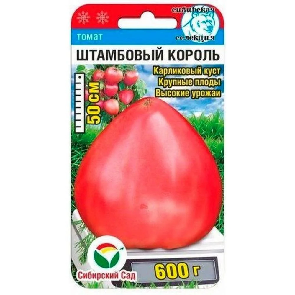 Штамбовый король