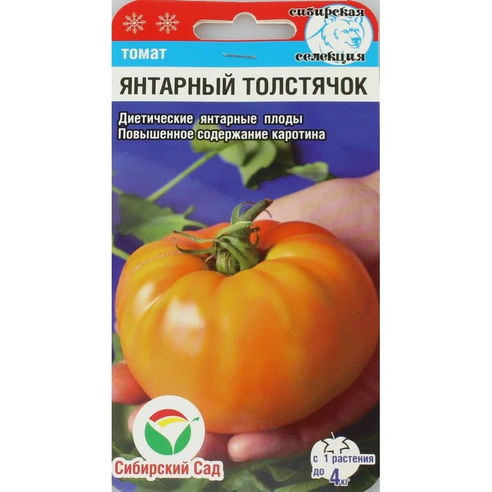 Янтарный толстячок