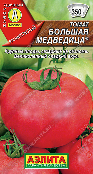 Большая медведица