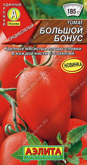 Большой бонус