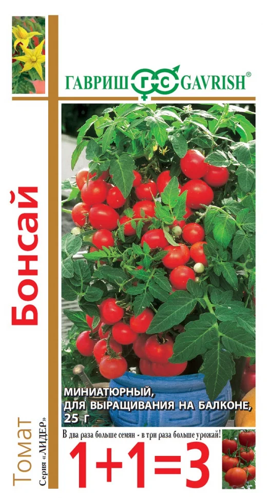 Бонсай балконный