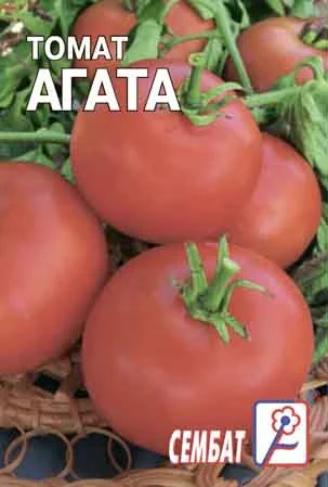 Миниатюра изображения сорта Агата