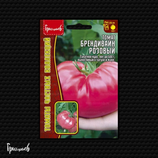 Бренди Вайн Розовый (Pink Brandywine)