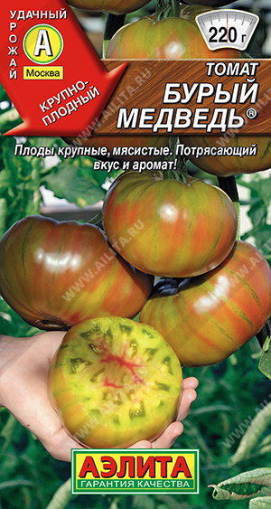 Бурый медведь