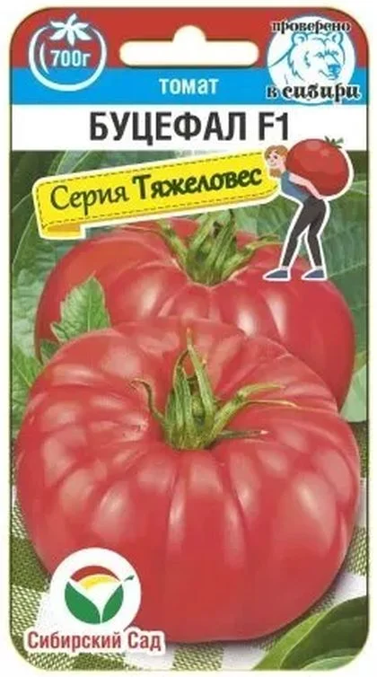 Миниатюра изображения сорта Буцефал 