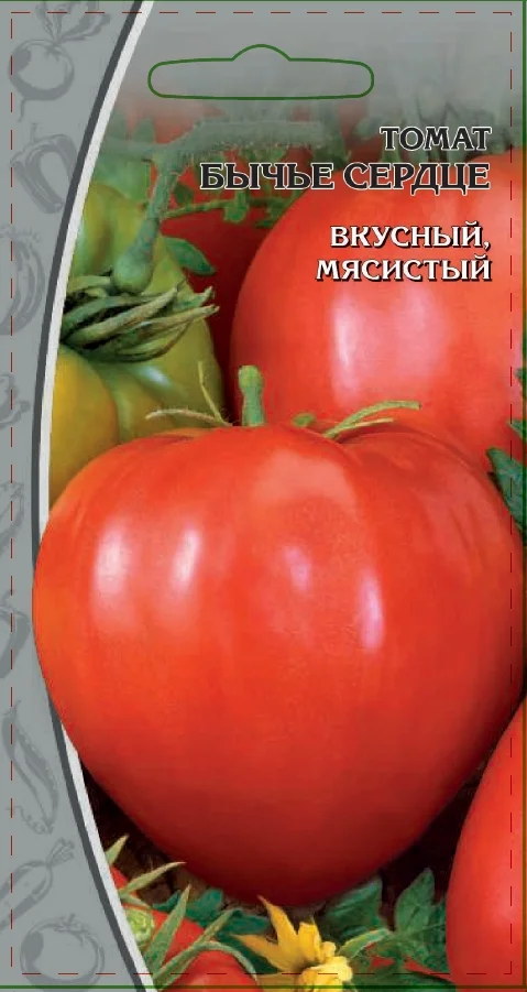 Миниатюра изображения сорта Бычье сердце