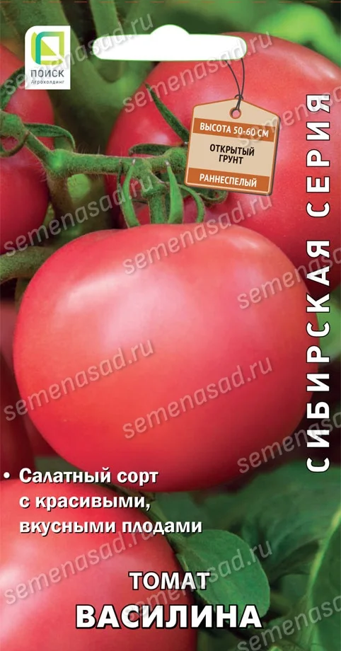 Миниатюра изображения сорта Василина