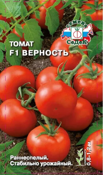 Миниатюра изображения сорта Верность 